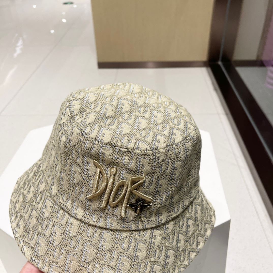 Christian Dior Caps